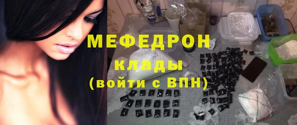 шишки Медвежьегорск