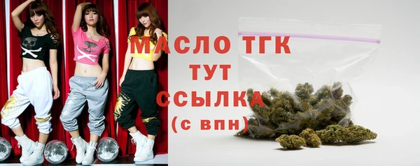 шишки Медвежьегорск