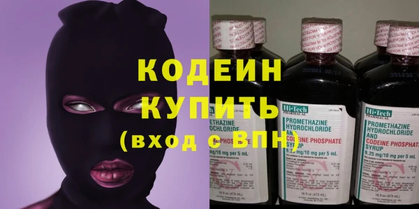 шишки Медвежьегорск