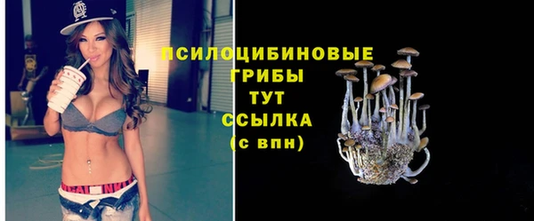 дживик Медногорск