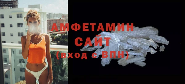 шишки Медвежьегорск