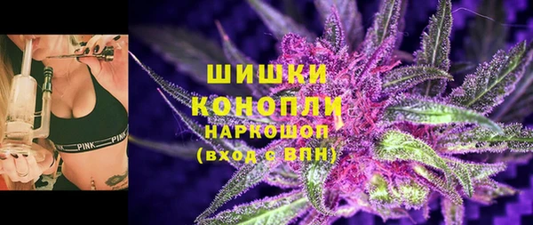 шишки Медвежьегорск