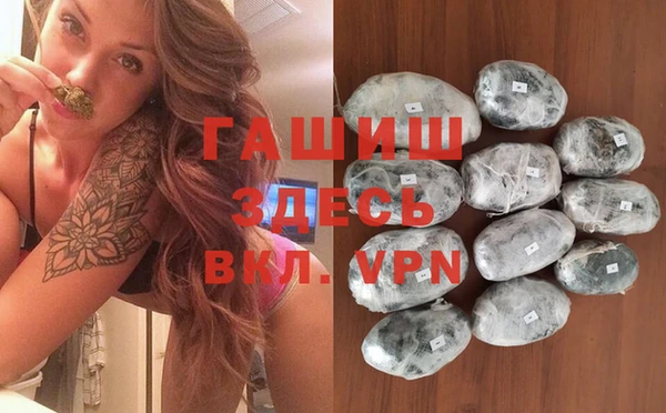 шишки Медвежьегорск