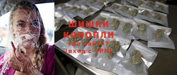 шишки Медвежьегорск