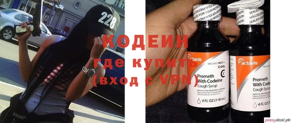 шишки Медвежьегорск