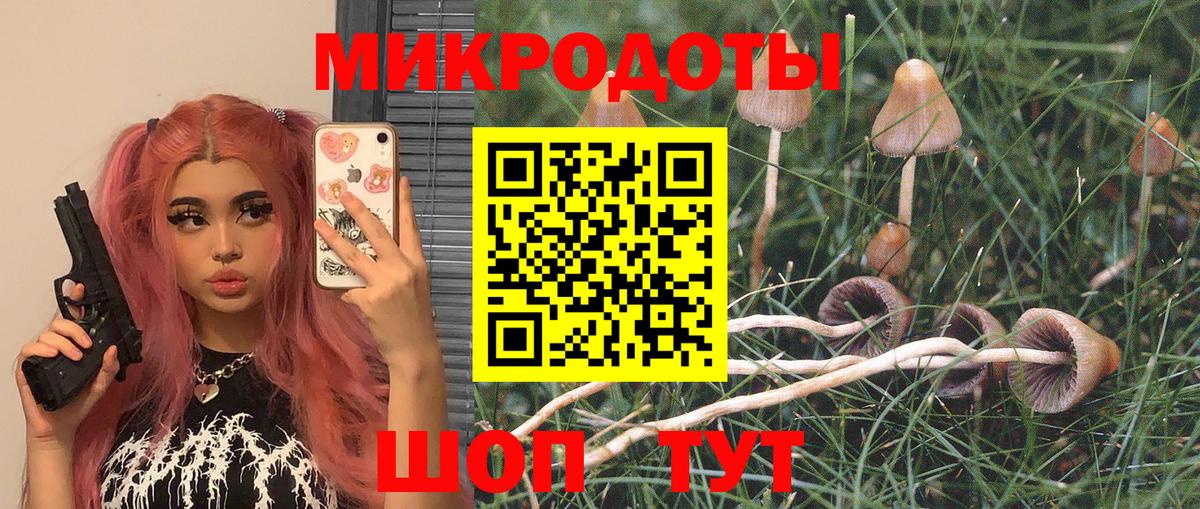 Галлюциногенные грибы Psilocybe  Галлюциногенные грибы мицелий  Нижний Новгород 