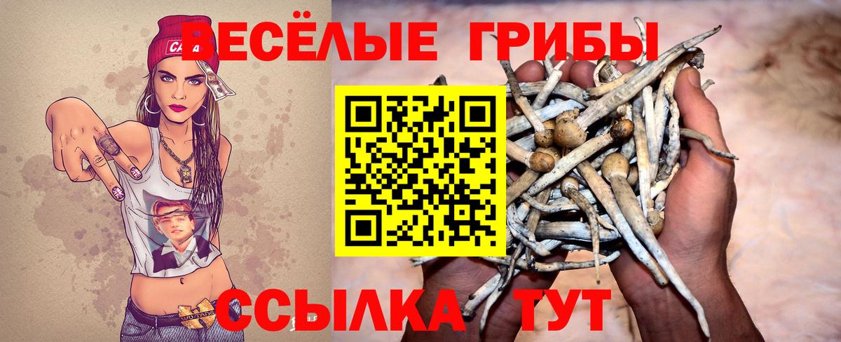 Галлюциногенные грибы Cubensis Нижний Новгород